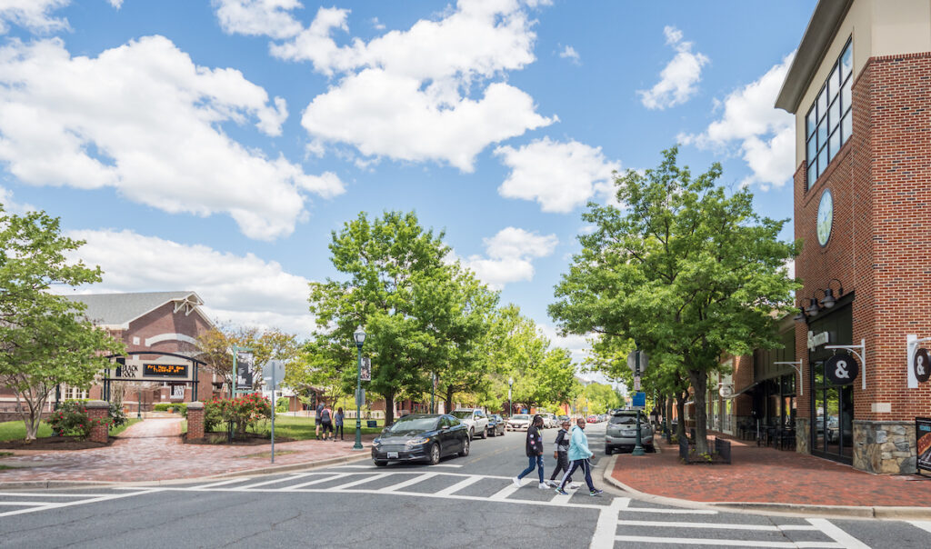 Trees and blue sky in Germantown