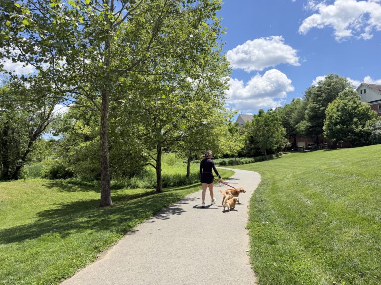 Scenic walking trail through Germantown park